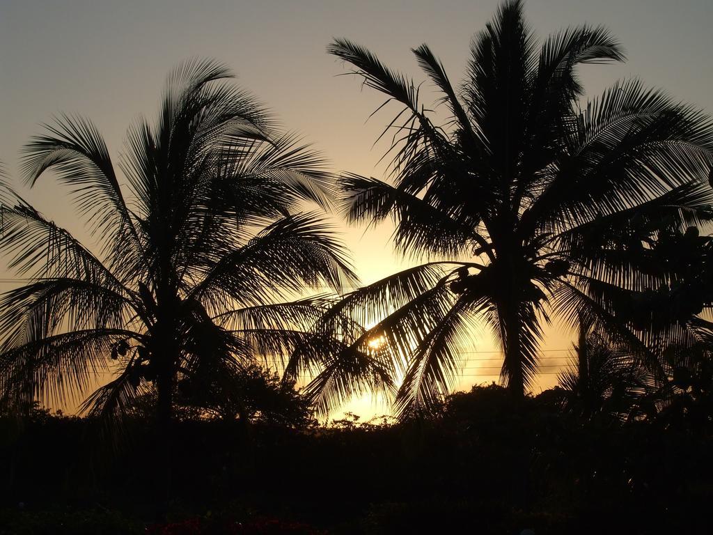 Flamingo Villas Resort Malindi Bagian luar foto