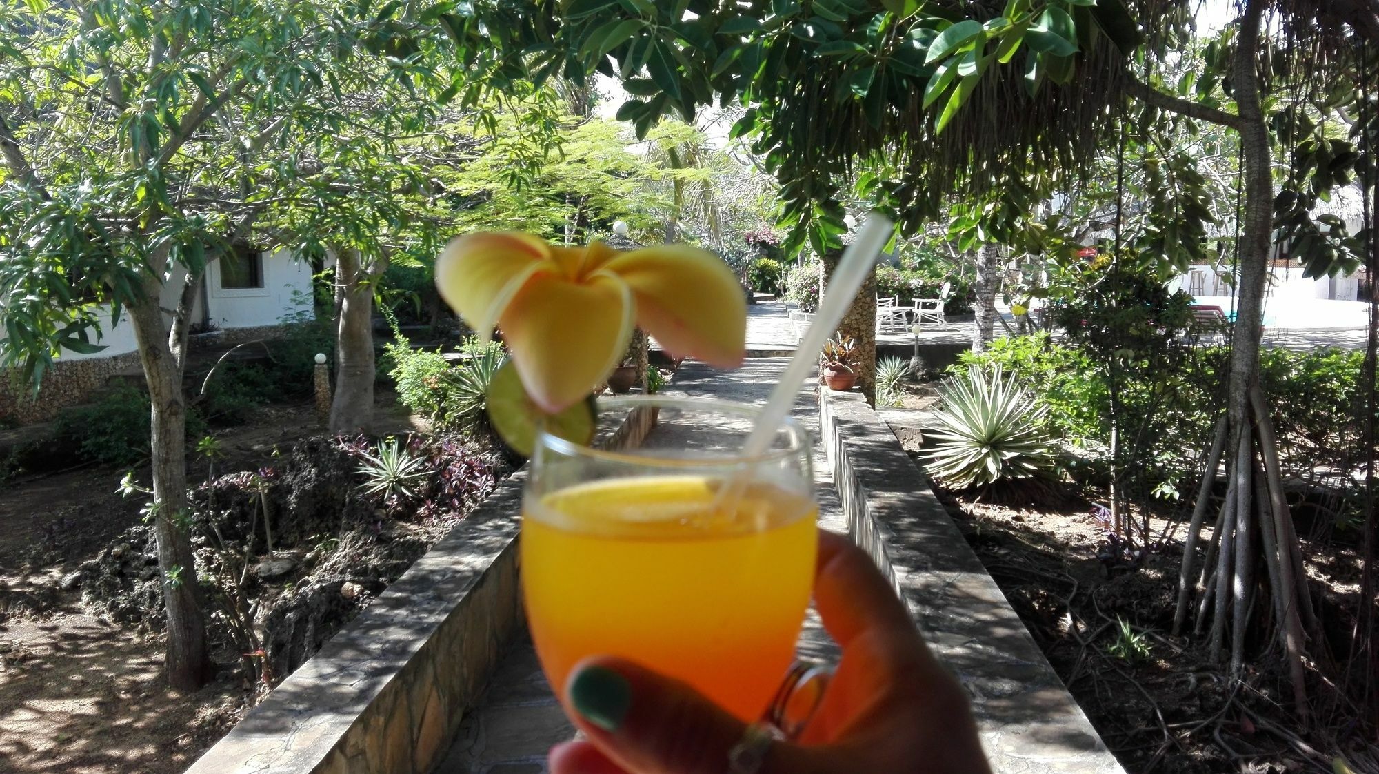 Flamingo Villas Resort Malindi Bagian luar foto